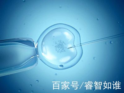 关于国内借卵借卵代孕网